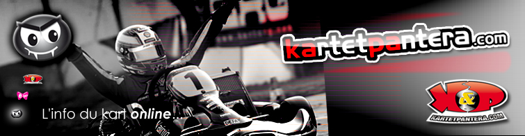 Kartetpantera.com - Petites annonces Kart